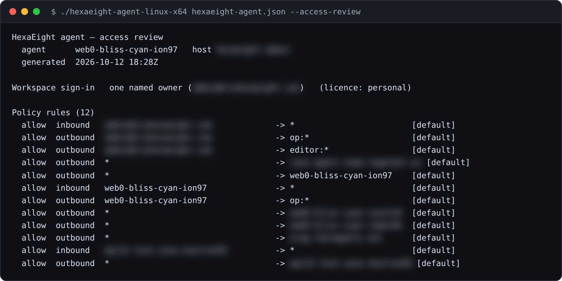 Terminal: the access review header, workspace sign-in by one named owner, and the twelve policy rules. Email addresses and other agents' names are blurred.