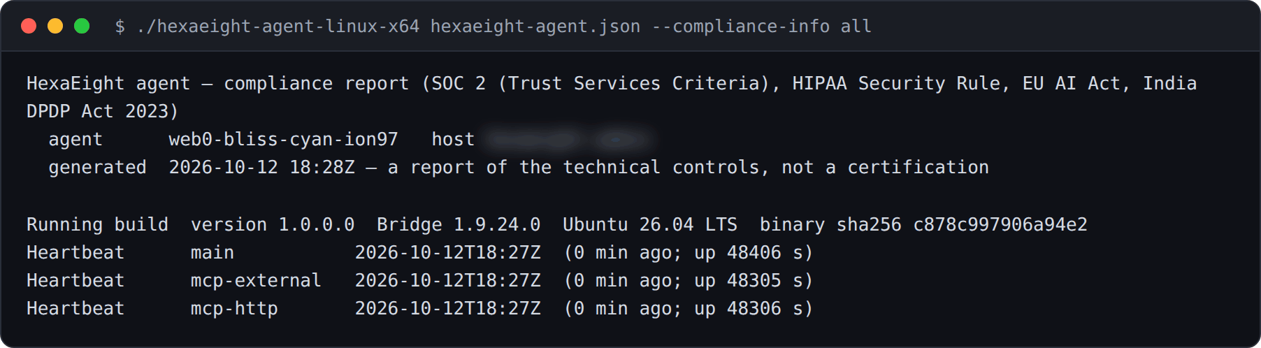 Terminal: the report header with the agent name, the time it was generated, the running build with its version and binary hash, and a heartbeat from each of the three processes. The host name is blurred.
